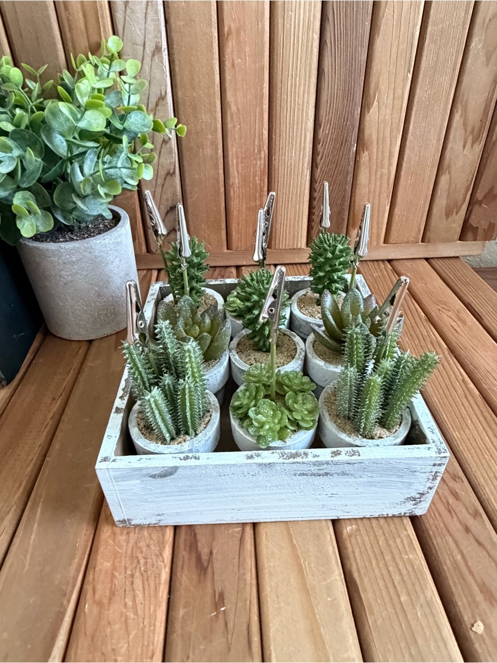 Mini Faux Succulent Garden Set in Distressed Wooden Tray, Photo Clip Card Holder